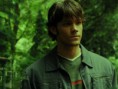 /album/sam/draft-lens5145012module38425922photo-1244412603wallpaper-10a-jpg/